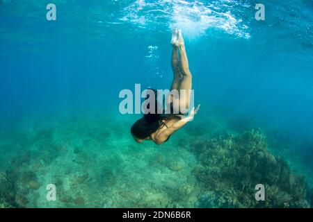 A woman (MR) kicks down below the surface toward a reef off the island of Maui, Hawaii. Stock Photo