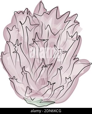 Allium flower watercolor isolated on white. Vector Illustration EPS 10 Stock Vector