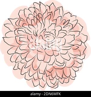 Yellow orange chrysanthemum flower, Spring flower watercolor. Isolated on white background. Vector golden-daisy. EPS 10 Stock Vector