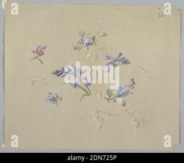 Designs for Wallpaper and Textiles: Flowers, Brush and gouache on cream paper, Six clusters of blue and purple flowers of different types with stems and foliage scattered at center of page. Also scattered are beige stems of various sizes with foliage of the same color., France, 19th century, wallpaper designs, Drawing Stock Photo