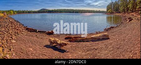 Panorama of Dogtown Lake near Williams Arizona. In the foreground are large pieces of driftwood on the northeast shore of the lake. Stock Photo