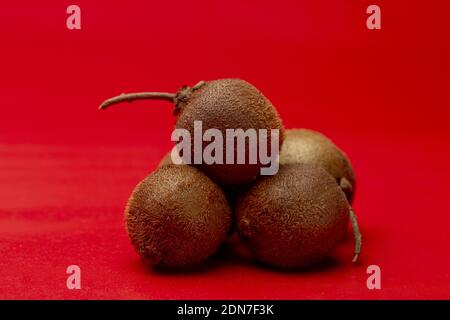 Primary red surface and background with several tiny kiwifruit or Actinidia Deliciosa Setosa on top of each other with a stem sticking out Stock Photo