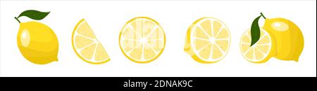 Lemon with leaves and slices, vector illustration in flat style, banner on white background Stock Vector