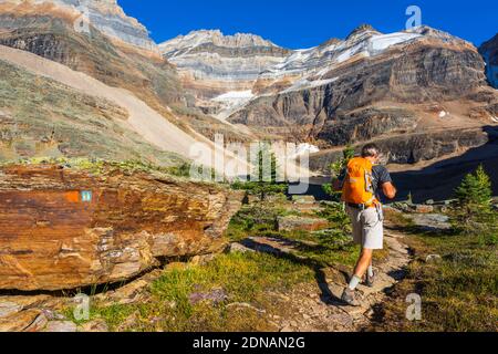 Hiker on the Yukness Ledges Trail at Lake Oesa, Yoho National Park, British Columbia, Canada Stock Photo