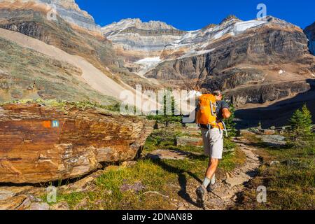 Hiker on the Yukness Ledges Trail at Lake Oesa, Yoho National Park, British Columbia, Canada Stock Photo