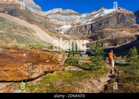 Hiker on the Yukness Ledges Trail at Lake Oesa, Yoho National Park, British Columbia, Canada Stock Photo