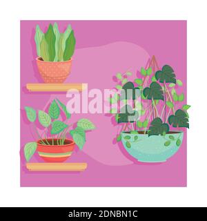 Plants inside pots on shelves and hanging design of Floral nature garden and ornament theme Vector illustration Stock Vector