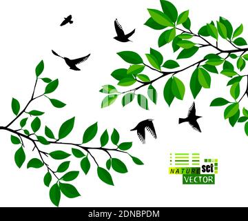 Flying birds from a tree branch. Vector illustration Stock Vector
