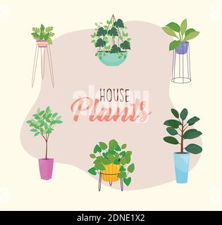 set of plants inside a pots Stock Vector Image & Art - Alamy