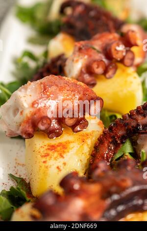 Elongated tray with Galician Octopus, with potatoes, paprika, olive oil on a rustic granite background. Spanish ethnic cuisine concept. Stock Photo