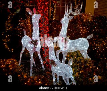 Christmas decorations at Dyker Heights - a neighborhood in Brooklyn known for its extravagant displays every Christmas. New York, USA Stock Photo