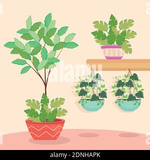 Plants inside pots hanging and on shelf design of Floral nature garden and ornament theme Vector illustration Stock Vector