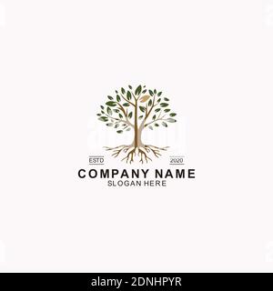 Golden Tree of Life Stamp Seal Emblem Oak Banyan Maple logo design Stock Vector