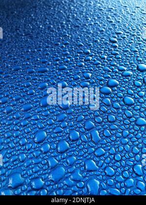 An abstract background of condensed water droplets or dew on a bright blue metallic surface with copy space Stock Photo