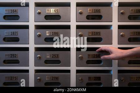 Woman hand open modern mail box of apartment filled home numbers of resident. Mailbox in a row in letter box office of apartment. Post office. Stock Photo