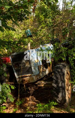 Old abandoned tractor overgrown with vegetation in a rural setting. France. Europe. Stock Photo