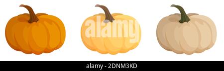 set of orange and beige pumpkin fruit. Autumn harvest. Autumn Halloween pumpkins. Edible plants. Cartoon vector on white background Stock Vector