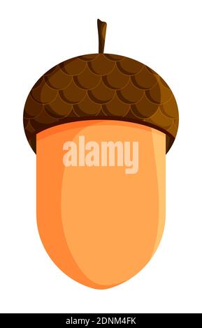 Acorn icon. Oak, oak grove. Color vector on white background Stock Vector