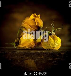 Dry yellow roses arranged artistically on a dark surface creating a moody atmosphere Stock Photo