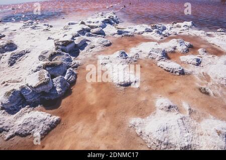 Salty Pink lake shore. Stones covered with salt. Nature background Stock Photo