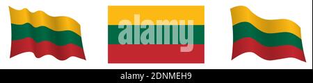 flag of lithuania in static position and in motion, developing in wind in exact colors and sizes, on white background Stock Vector