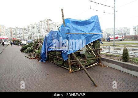 Non Exclusive: KYIV, UKRAINE - DECEMBER 17, 2020 - Christmas trees wrapped in bale net are available for sale, Kyiv, capital of Ukraine. Stock Photo