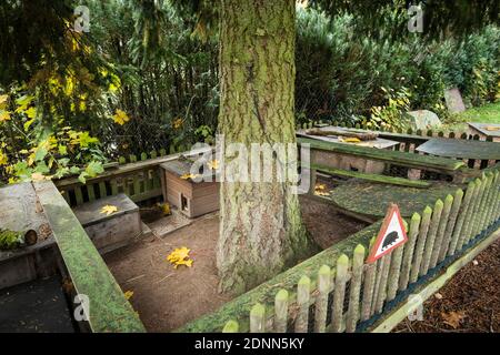 Common Hedgehog (Erinaceus europaeus). Outdoor enclosure with hedgehog houses. Germany Stock Photo