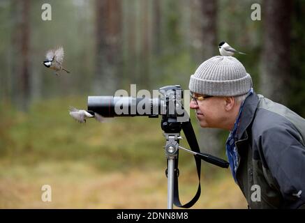 Birds flying around photographer Stock Photo