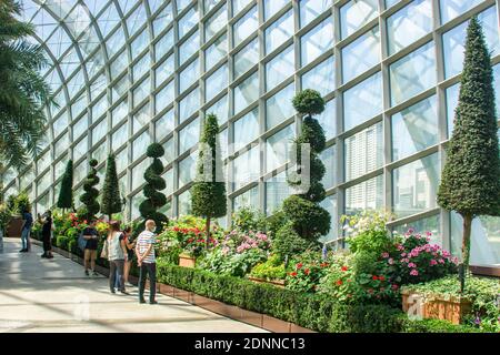 The tourists are enjoying the plants in the Flower dome of Garden by the bay Singapore 2020. Stock Photo