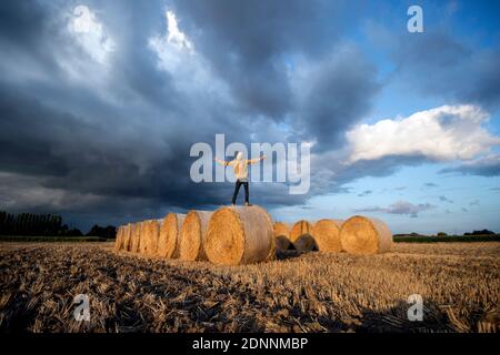 Man standing on straw balls in a field in Sameon (northern France) in the Scarpe Escaut Nature Park. Man viewed from behind, standing; arms outstretch Stock Photo