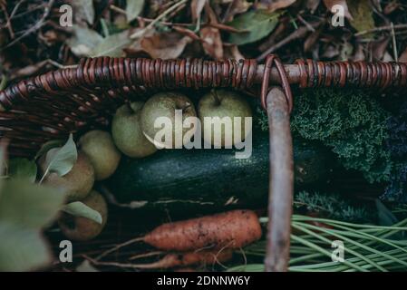 Vegetables and in basket Stock Photo