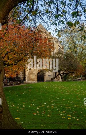 Dean’s Park and Minster Library exterior in autumn York North Yorkshire England UK United Kingdom GB Great Britain Stock Photo