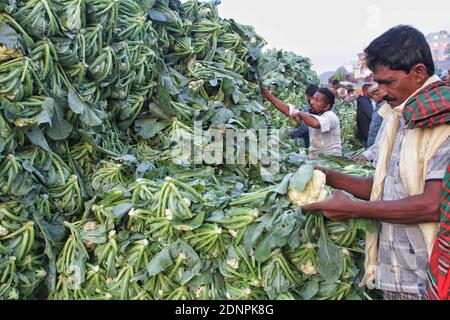 The foggy winter morning started in the capital's Shyambazar with the shouts of vegetable sellers. All kinds of vegetables have started coming in the Stock Photo
