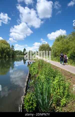 Amiens (northern France): the floating gardens (French “hortillonnages”) Stock Photo