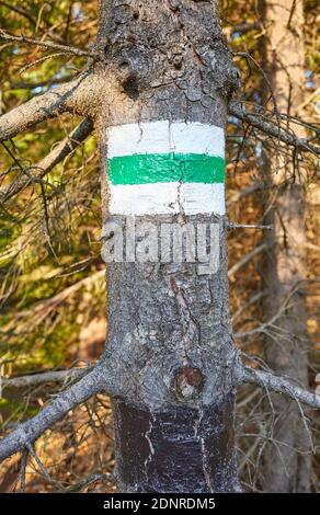 Green hiking trail sign on a tree trunk, selective focus.