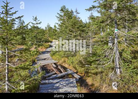 Old broken wooden bridge path in Karkonosze National Park, Poland. Stock Photo