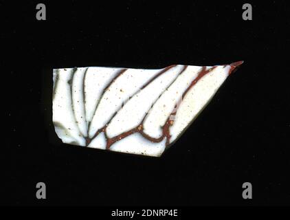 Mosaic glass fragment, glass, pressed, cut, Total: Height: 1.30 cm; Width: 2.60 cm, floor coverings, wall decoration, Early Imperial Period, The small glass fragment shows red or black lines on a white background. In Roman times, colored, ornamented glass was used for vessels, mosaics, wall decorations and furniture ornaments. For the production different colored glass was formed into tubes and rods. These were pressed together and heated, resulting in a long rod. The glass, now cut into slices, had a variety of amorphous or floral patterns Stock Photo