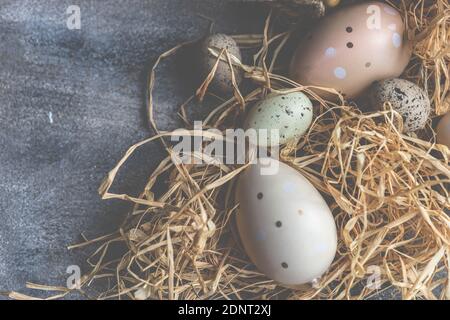 Painted Easter eggs and straw decoration Stock Photo