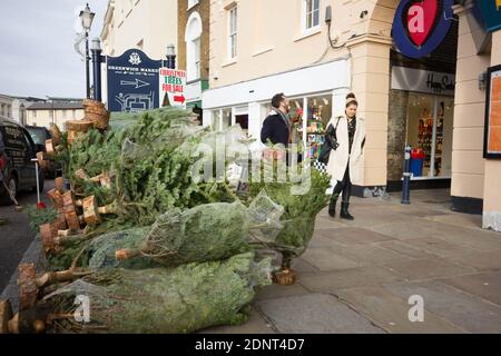 Christmas shoppers checking out Christmas tree at greenwich market, London, England Stock Photo