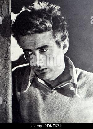トップス JAMES DEAN MEMORIAL PORTRAIT 1931-1955 JAMES DEAN MEMORIAL PORTRAIT 1931-1955