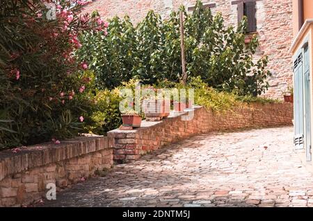 Clay pots and vases with plants and flowers in a courtyard of a medieval italian village (Pesaro, Marche, Italy) Stock Photo