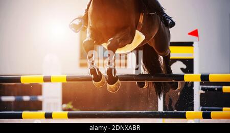 The hooves of a fast bay horse with a rider in the saddle, which jumps over a high black-and-yellow barrier, illuminated by sunlight. Equestrian sport Stock Photo