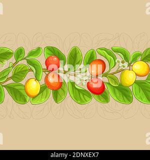 ximenia vector pattern Stock Vector