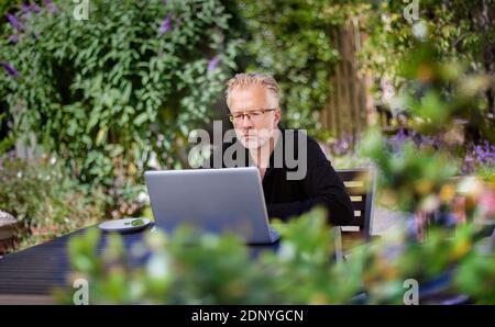 Man using laptop in garden Stock Photo