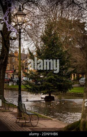 UK, Gloucestershire, Bourton on the Water, Christmas tree in River Windrush at dusk Stock Photo