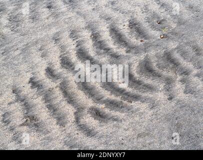 Quite pronounced dark fluvial ripples in wet beach sand after tide has receded. Almost backbone-like structure in shape. Ripple effect just like Mars. Stock Photo