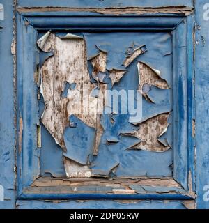 Old blue paint peeling from old wooden door, square background. Stock Photo