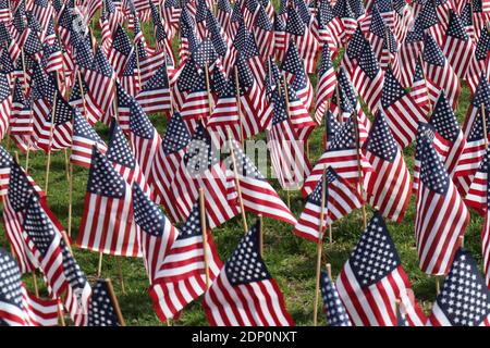 A field of American flags on Boston Common Stock Photo