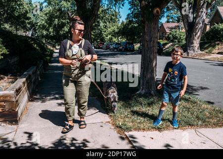Mother son and dog outside going for a walk on a sunny day Stock Photo