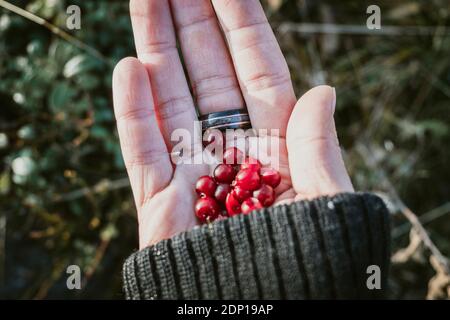 Berries on womans hand Stock Photo